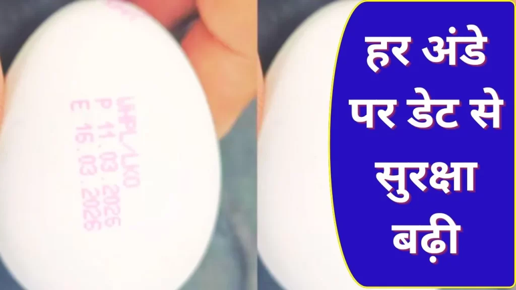 UP में अब हर अंडा देगा अपनी ‘सच्चाई’ का सबूत: 1 अप्रैल से बदल जाएंगे नियम
